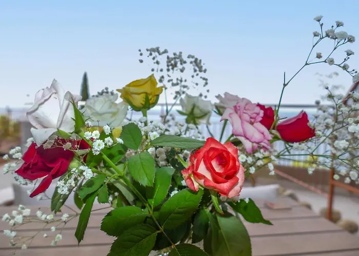 Appartement Nautilus By Interhome